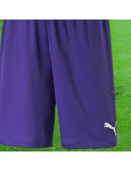 Boutique pour gardiens de but Shorts Joueur (sans protection)  Puma - Short Velize Violet 701945 10 / 101