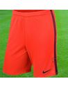 Boutique pour gardiens de but Shorts Joueur (sans protection)  Nike - Short Knit league Saumon 725881-671 / 36