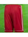 Boutique pour gardiens de but Shorts Joueur (sans protection)  Adidas - Short Squadra 17 rouge BJ9226 / 63